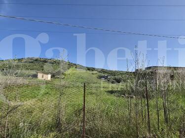 foto principale del terreno