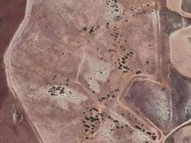 foto principale del terreno