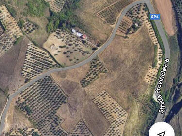 foto principale del terreno