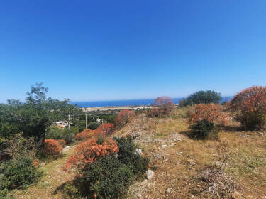 foto principale del terreno