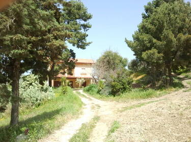 foto principale del terreno