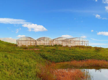 foto principale del terreno