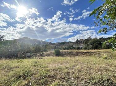 foto principale del terreno