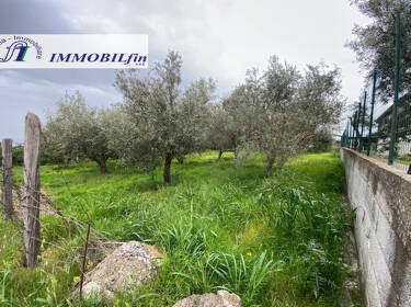 foto principale del terreno