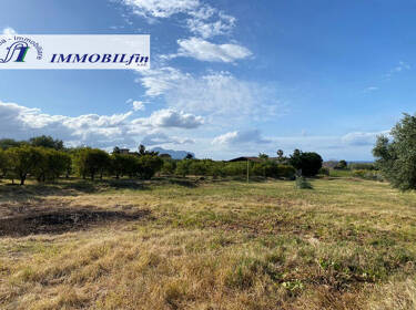 foto principale del terreno