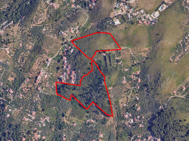 foto principale del terreno