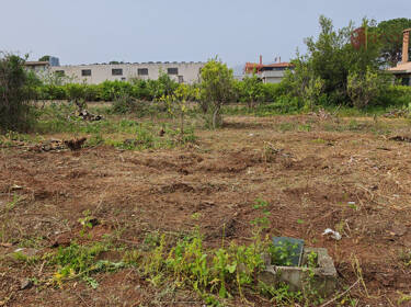 foto principale del terreno