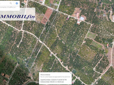 foto principale del terreno