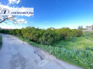 foto principale del terreno