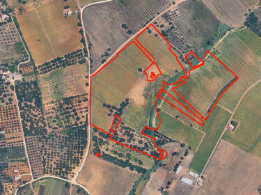 foto principale del terreno