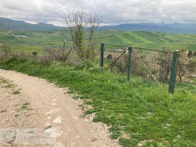 foto principale del terreno