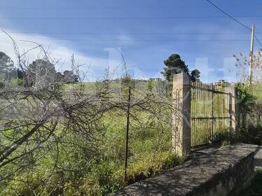 foto principale del terreno