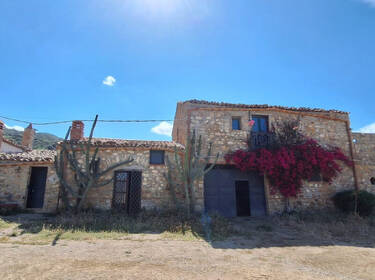 foto principale del terreno