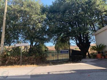 foto principale del terreno