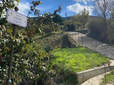 foto principale del terreno