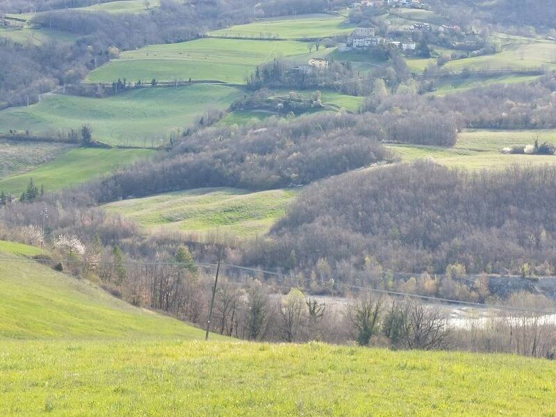 immagine annuncio 2 di 4