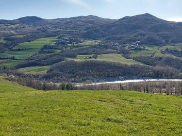 foto principale del terreno