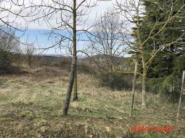 foto principale del terreno