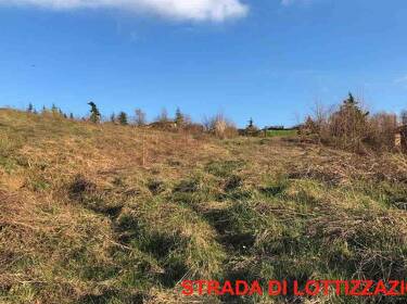 foto principale del terreno