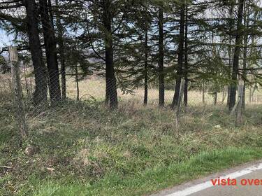 foto principale del terreno