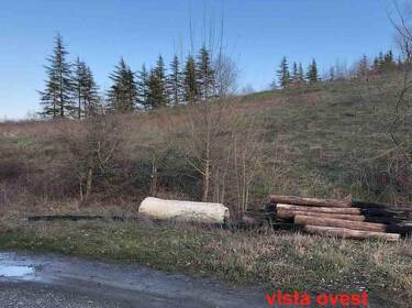 foto principale del terreno