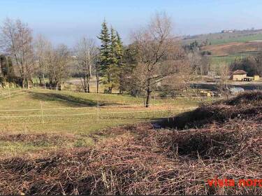 foto principale del terreno