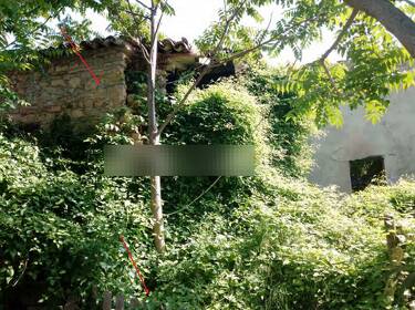 foto principale del terreno