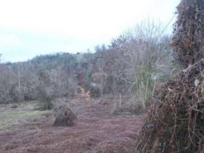 foto principale del terreno