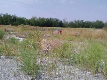 foto principale del terreno