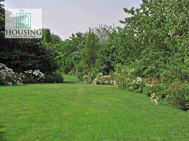 foto principale del terreno