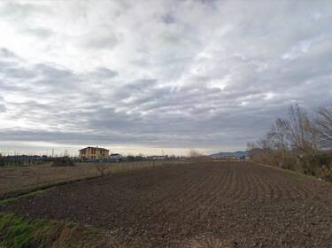 foto principale del terreno