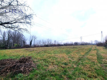 foto principale del terreno