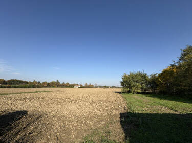 foto principale del terreno