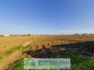 foto principale del terreno