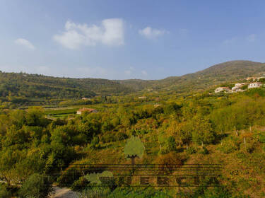 foto principale del terreno