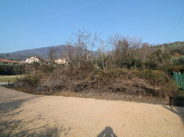 foto principale del terreno