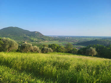 foto principale del terreno