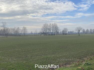 foto principale del terreno