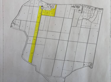 foto principale del terreno