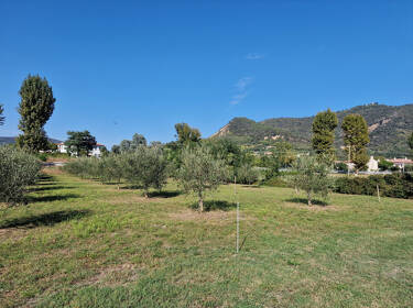 foto principale del terreno