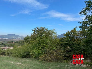 foto principale del terreno