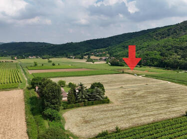 foto principale del terreno