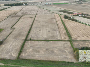 foto principale del terreno