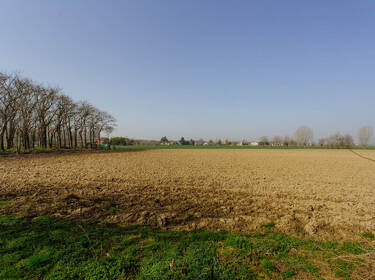 foto principale del terreno