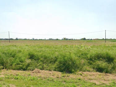 foto principale del terreno