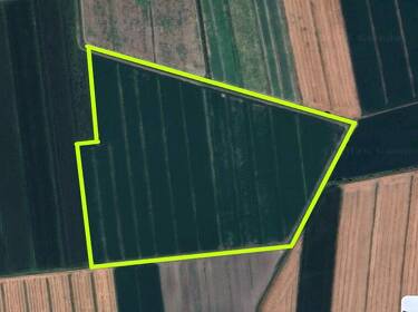 foto principale del terreno