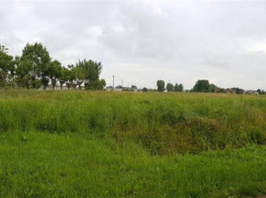 foto principale del terreno