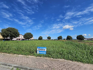 foto principale del terreno