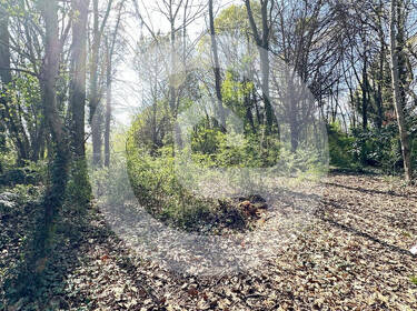 foto principale del terreno