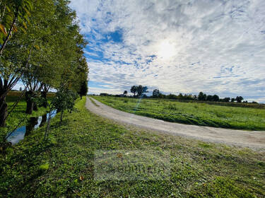 foto principale del terreno